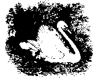 The Teddington Society Swan Logo
